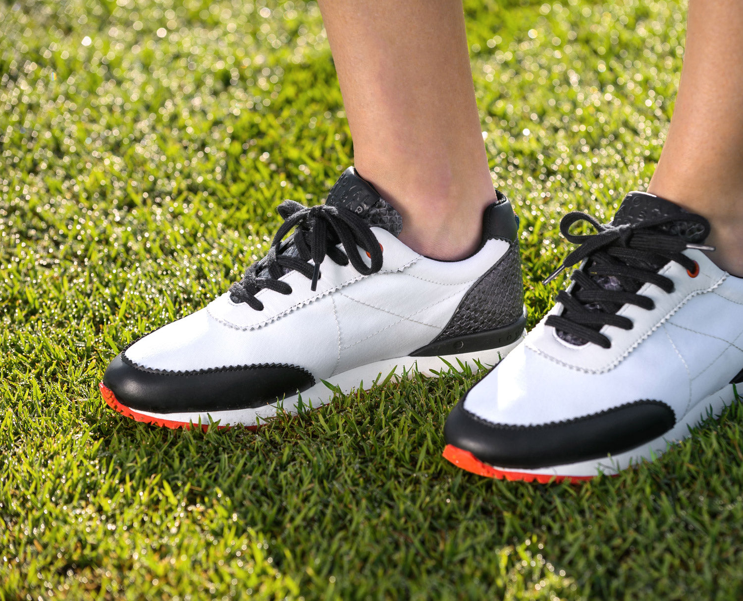 シューズ(女性用)  ALBARTROSS golf GEOMETRY Black UK4 ROYAL ALBARTROSS（ロイヤルアルバトロス） LADIES'（レディース